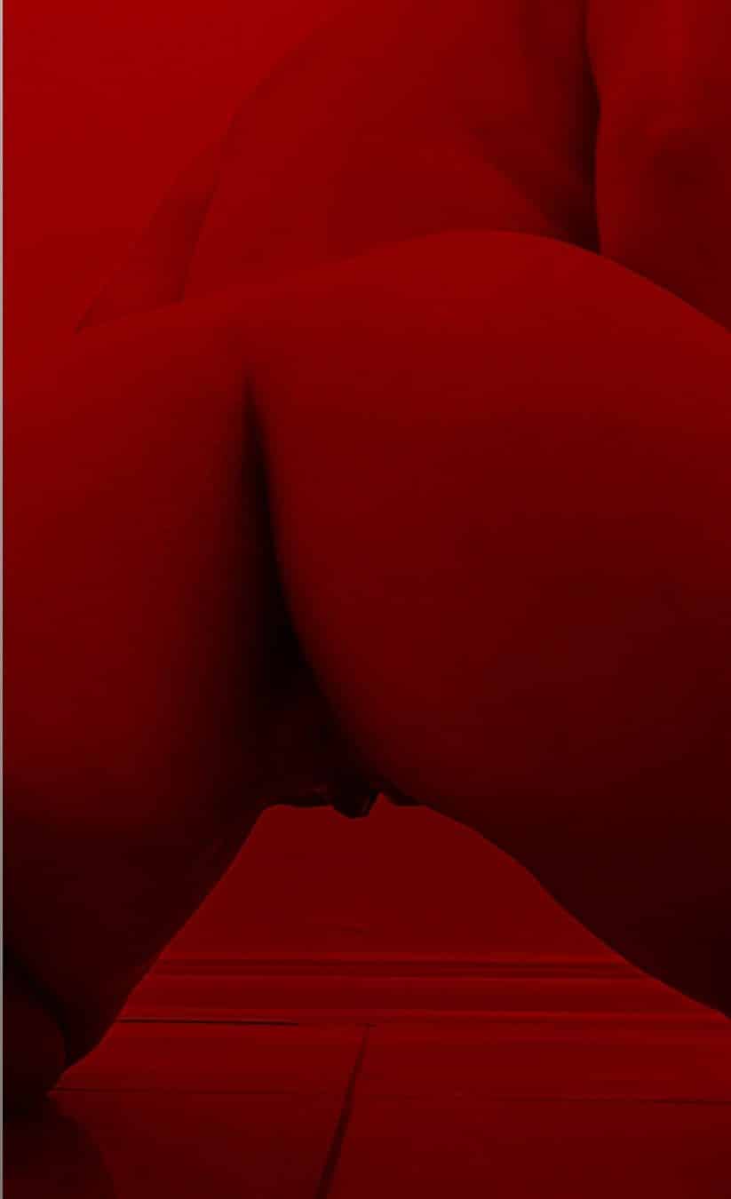 Daniieliita